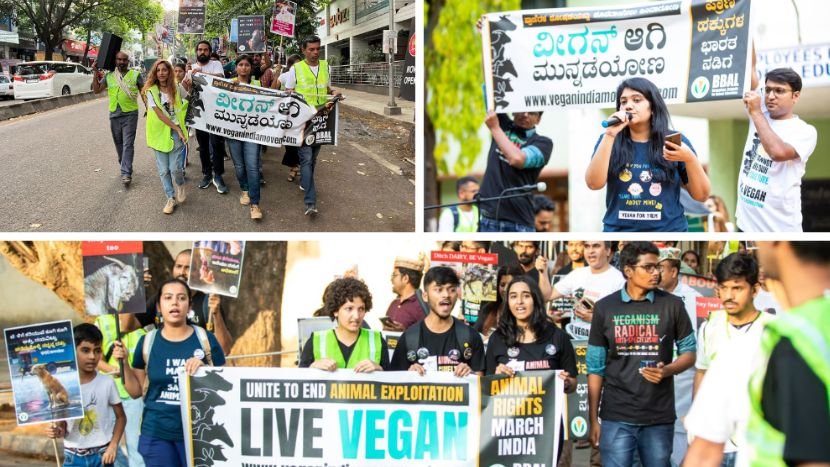 Massive Animal Rights March Floods Bengaluru Streets with Compassion