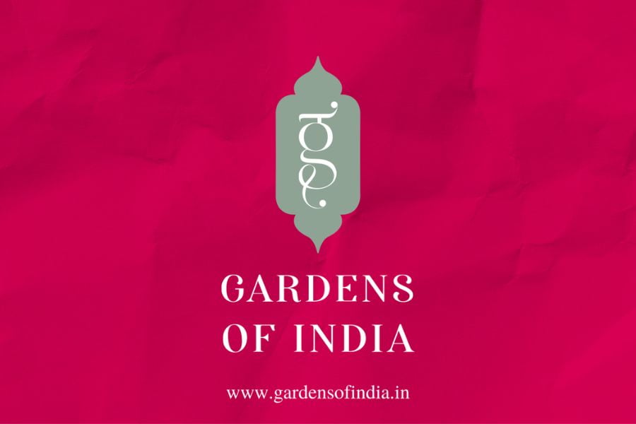 “Bringing India’s Finest Tea, Spices, and Foods to Your Doorstep: Gardens of India’s Ecommerce Launch”