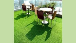 Carpet Planet Drops Prices on Top-Quality Artificial Grass Carpet in India!