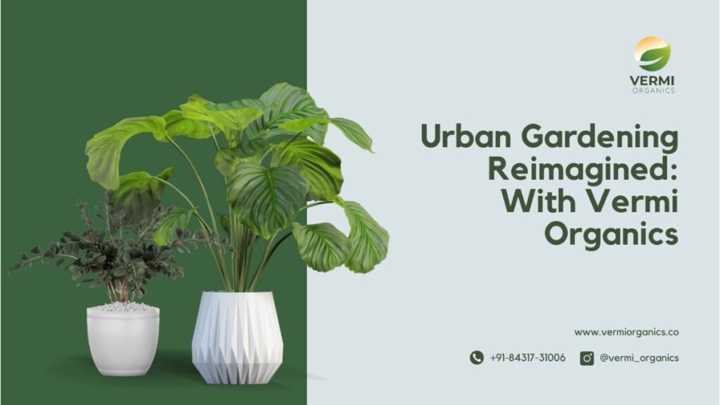 Urban Gardening Reimagined: Vermi Organics' Role in the Rise of Indoor Plant Culture - Urban gardening has undergone a remarkable transformation in recent years, with a surge in the popularity of indoor plant culture. Amidst this growing trend, Vermi Organics has emerged as a frontrunner, revolutionizing the way urban dwellers engage with plants within their homes. - PNN Digital