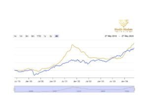 Primex 40 Index Hits Record High: Outperforms Nifty 500 Multicap in H1 2024