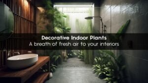 A breath of fresh air to your interiors – Decorative Indoor Plants