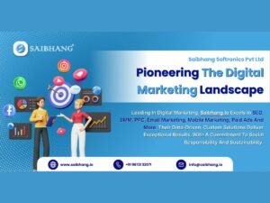 Saibhang Softronics Pvt Ltd: Leading the Digital Marketing Revolution