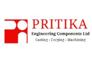 Pritika Engineering Component’s Consolidated Q1FY25 EBITDA Surged 32%