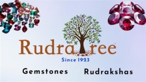 RudraTree: Your Premier Source for Authentic Gemstones in Bangalore Introduction