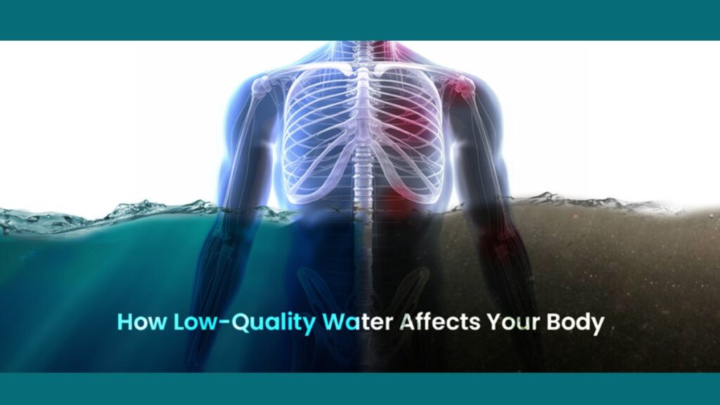 How Low-Quality Water Affects Your Body