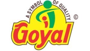 Goyal Salt Achieves Remarkable 286 Percent YoY Growth in Net Profit, Reaching INR 9 Cr in H1 FY25