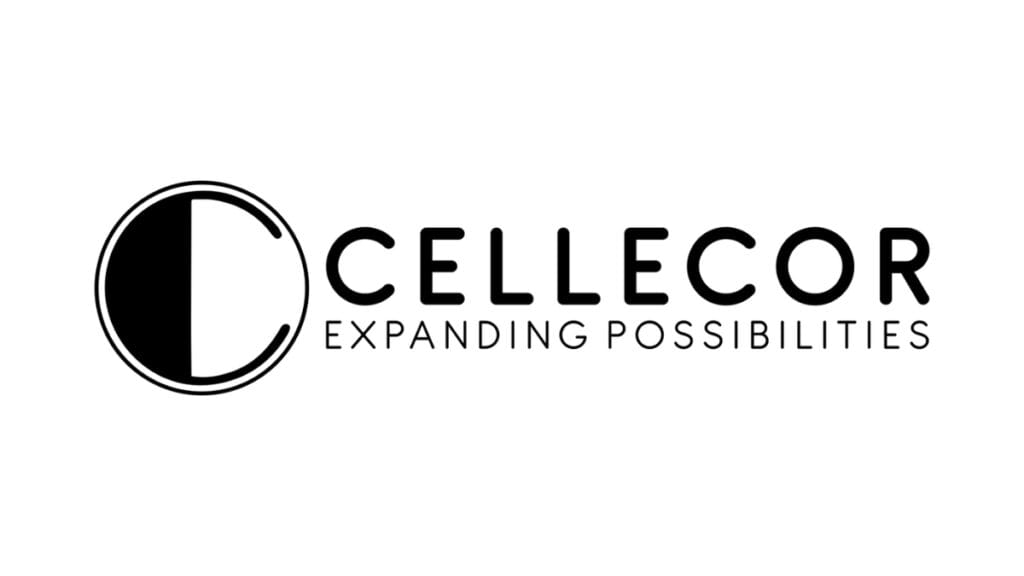 Cellecor Gadgets Ltd crosses ₹1,000 crore revenue milestone in FY25